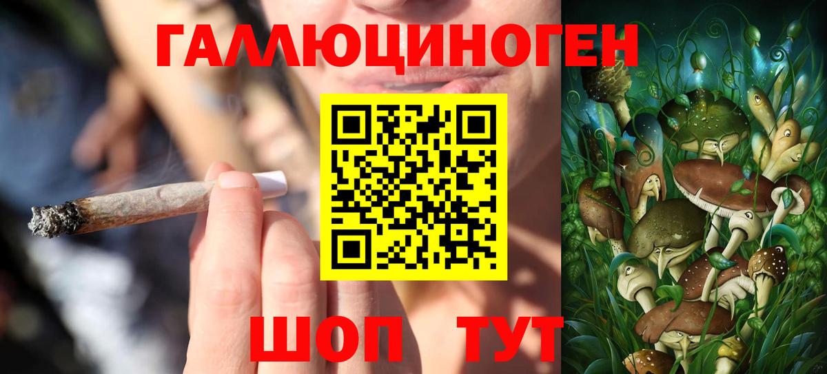 купить   Вход с VPN  Галлюциногенные грибы Magic Shrooms  Гай  Псилоцибиновые грибы Psilocybe 